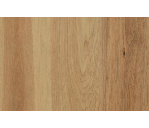 Ast Nouvelle Acoustic Hickory Natural 747x469px 01 3ad0f423e2 (1)