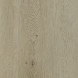 Ast Nouvelle Acoustic Limestone Grey 747x469px 01 140e17d19c