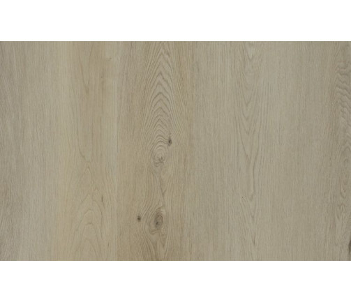 Ast Nouvelle Acoustic Limestone Grey 747x469px 01 140e17d19c