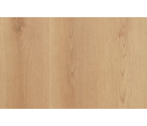 Ast Nouvelle Acoustic Macadamia 747x469px 01 56e56d8629