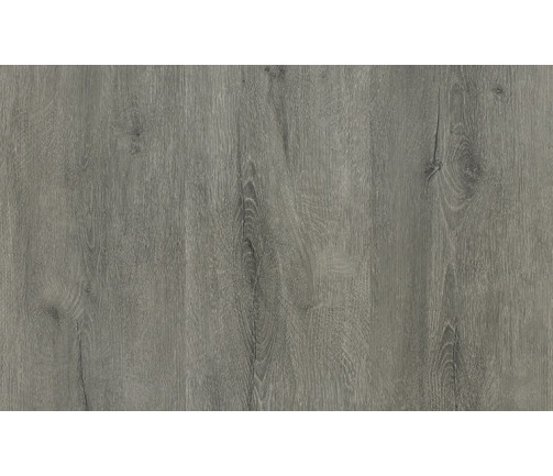 Ast Nouvelle Acoustic Tungsten 747x469px 01 C1288b079c