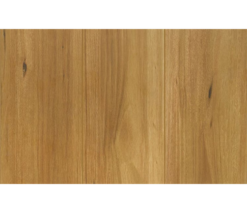 Ast Reflections Lifestyle Spotted Gum 747x469px 01 0b9a6ddbff