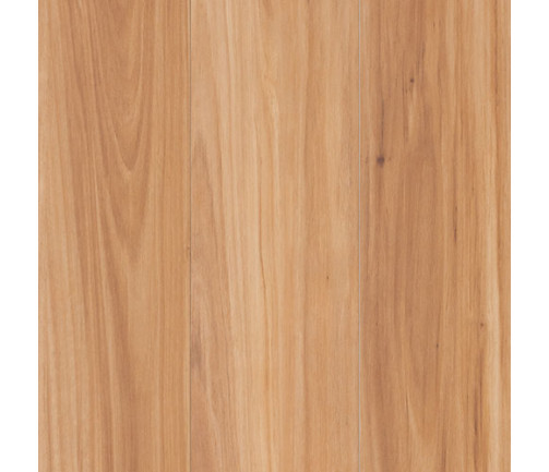 Nucore Excellence Blackbutt 500x500px