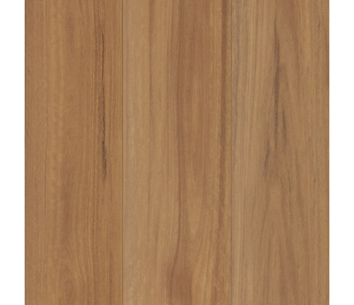 Nucore Excellence Nsw Spotted Gum 500x500px