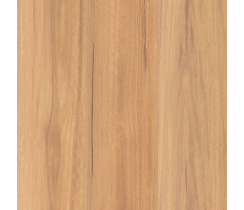 Swatch Lamwood 1416 Spottedgum 500x500px (1)