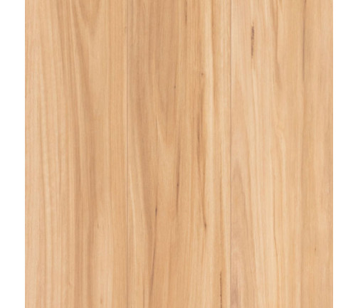 Swatch Lamwood 1417 Blackbutt 500x500px